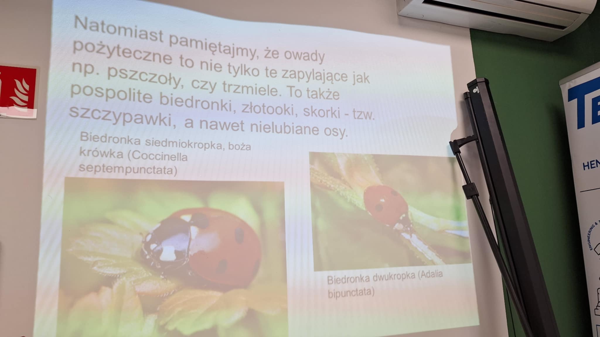 oddział przedszkolny SP1 w trakcie warsztatów