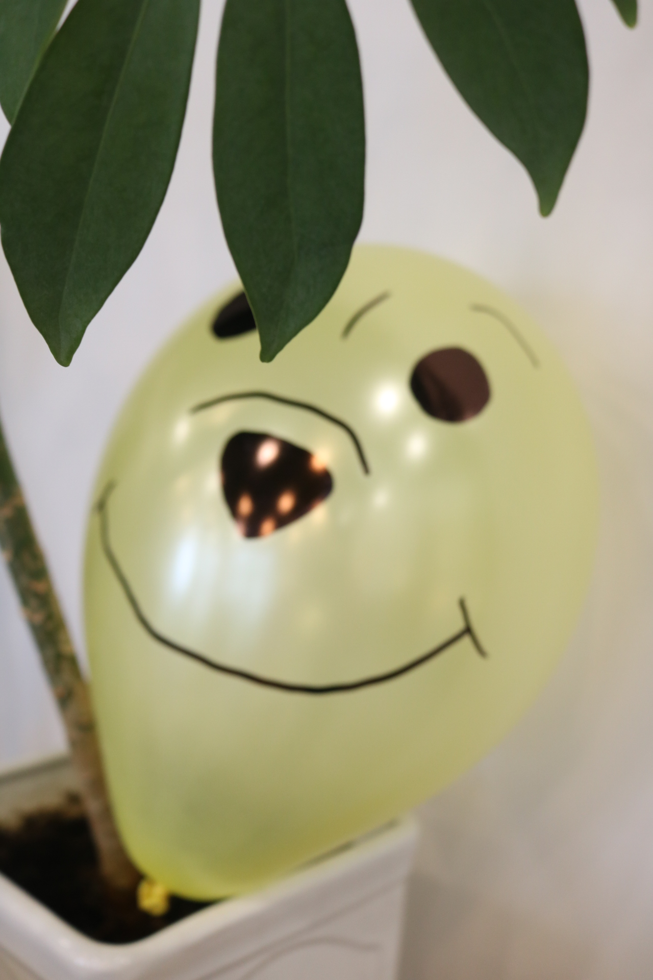 Fotorelacja z wydarzenia Styczeń2026