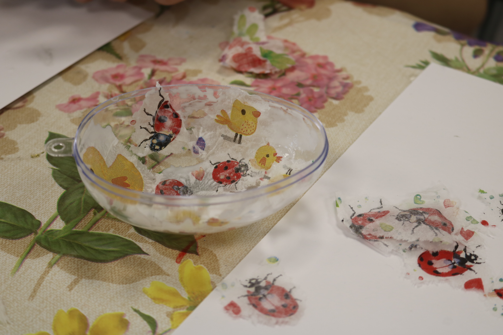 Fotorelacja z wydarzenia